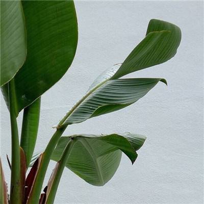 银河国际官网app下载app下载