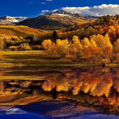 manbetx万博官网网页版