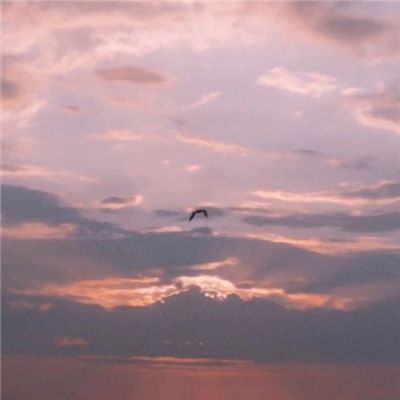 金沙集团9500官网