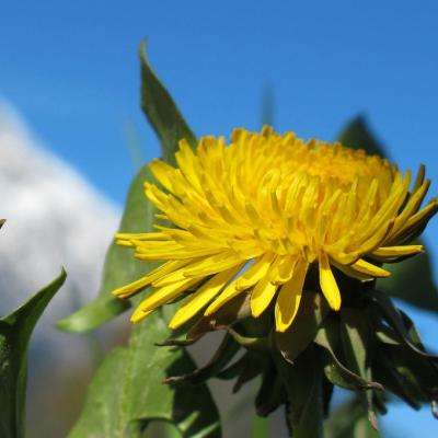 丰禾棋牌下载手机版截图