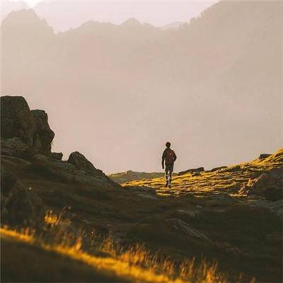 丰禾棋牌下载手机版